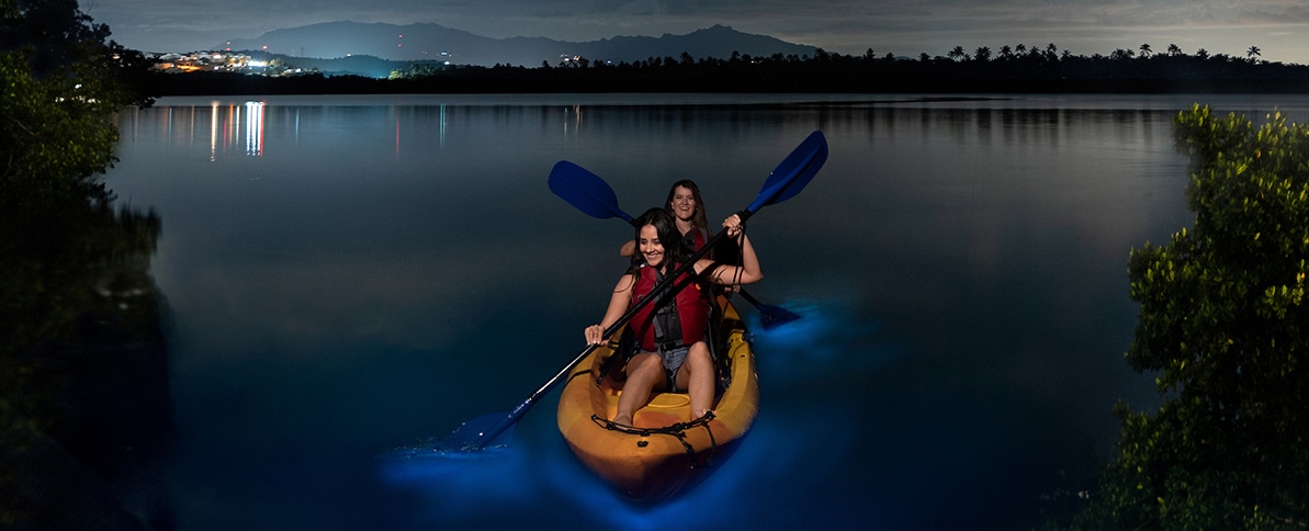 Bio Bay kayaking adventure.