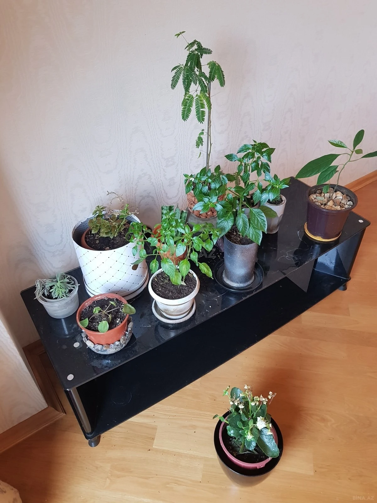 Satılır 4 otaqlı mənzil 206 m²