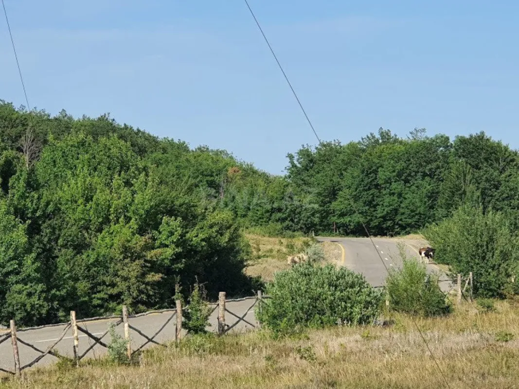 Satılır 6 otaqlı həyət evi 700 m²