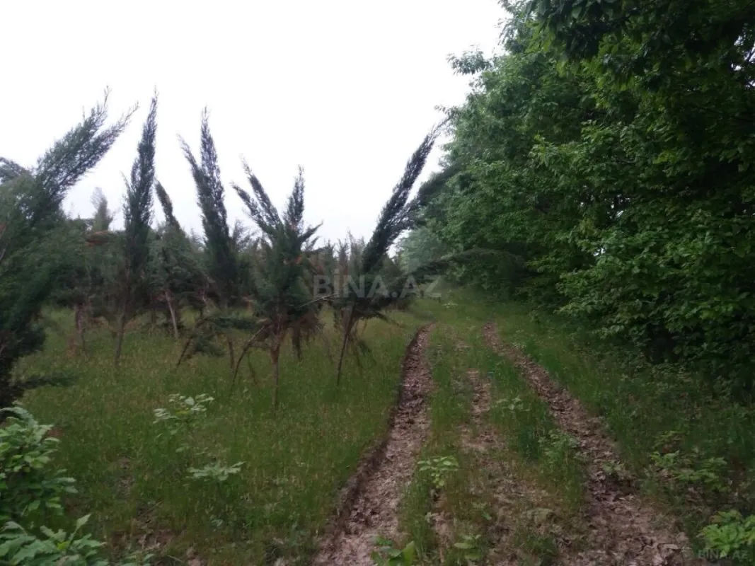 Satılır torpaq sahəsi 25 m²