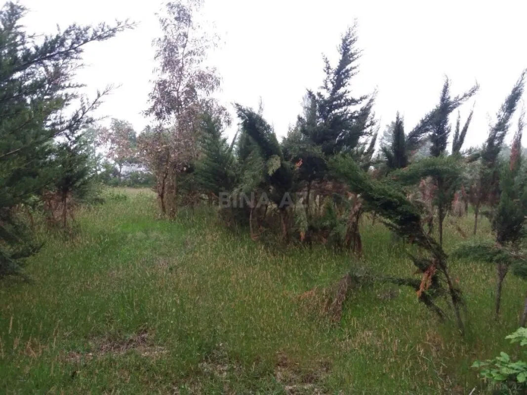 Satılır torpaq sahəsi 25 m²