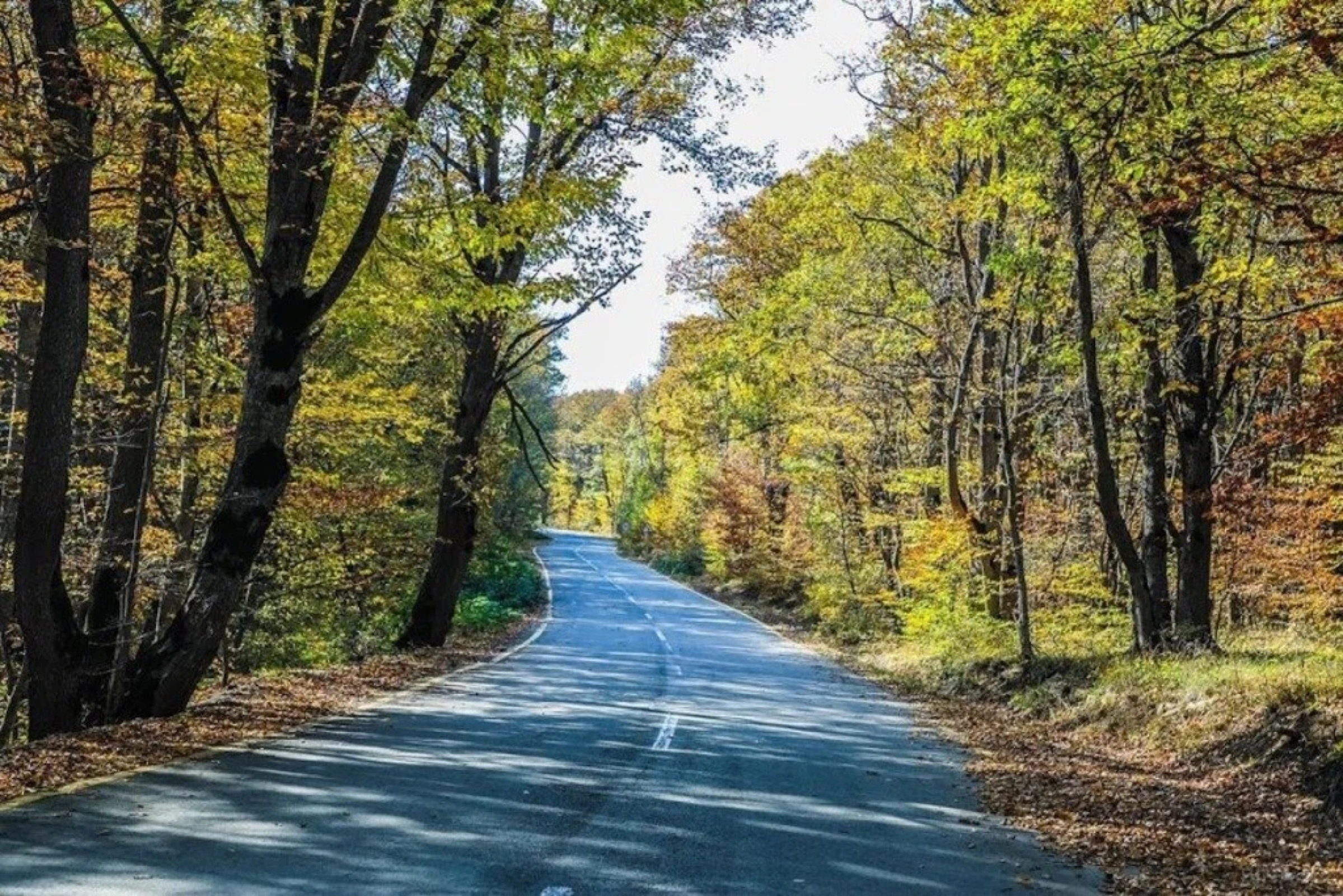 Satılır 5 otaqlı həyət evi 500 m²