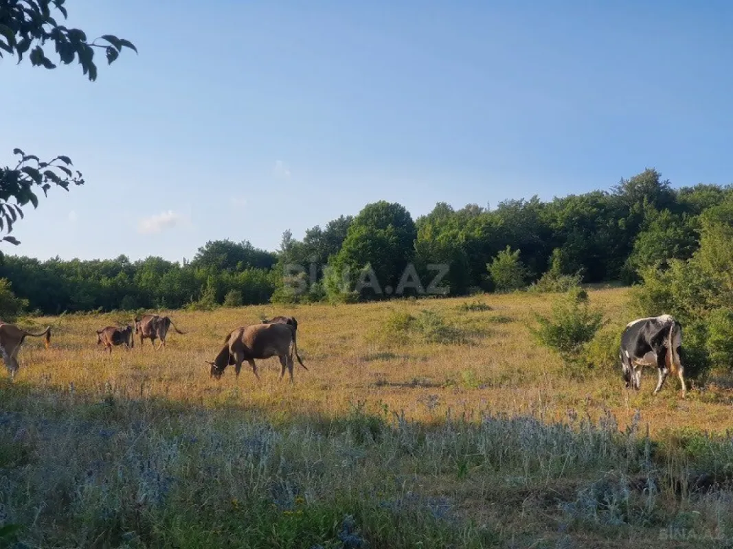 Satılır 5 otaqlı həyət evi 500 m²