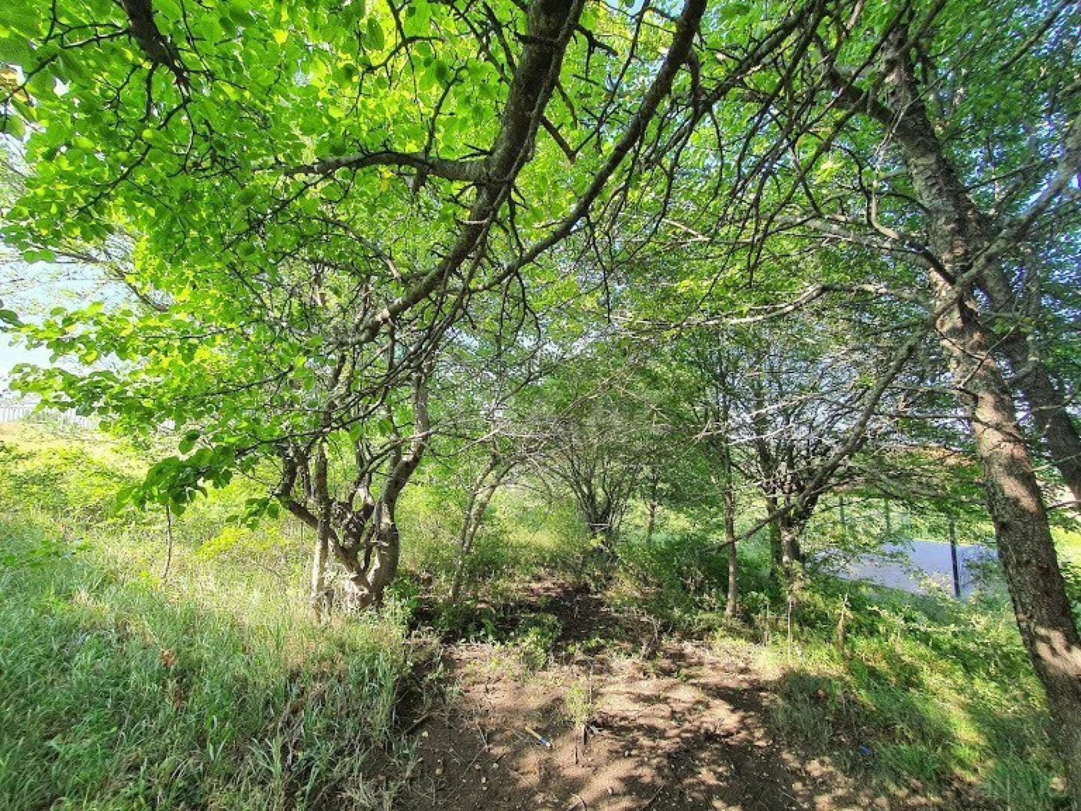 Satılır 5 otaqlı həyət evi 500 m²