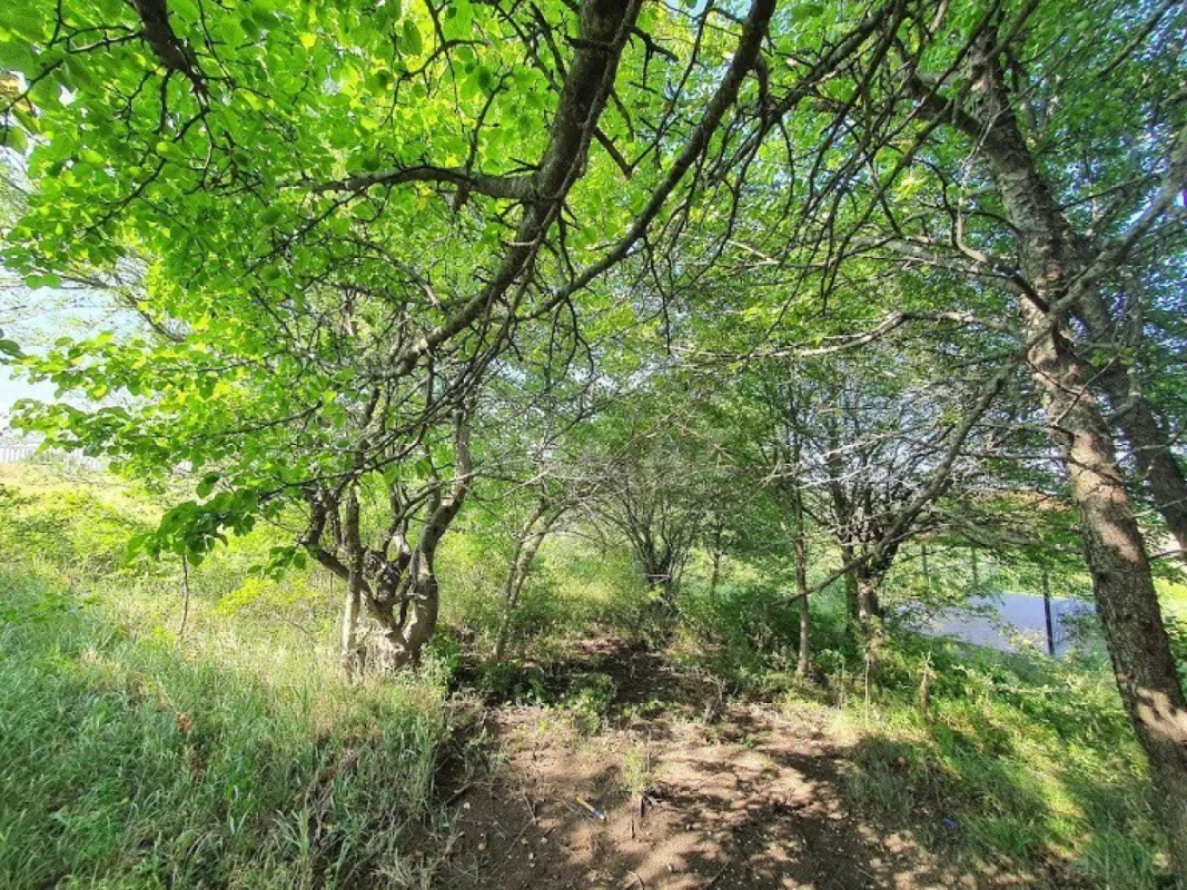 Satılır 5 otaqlı həyət evi 500 m²