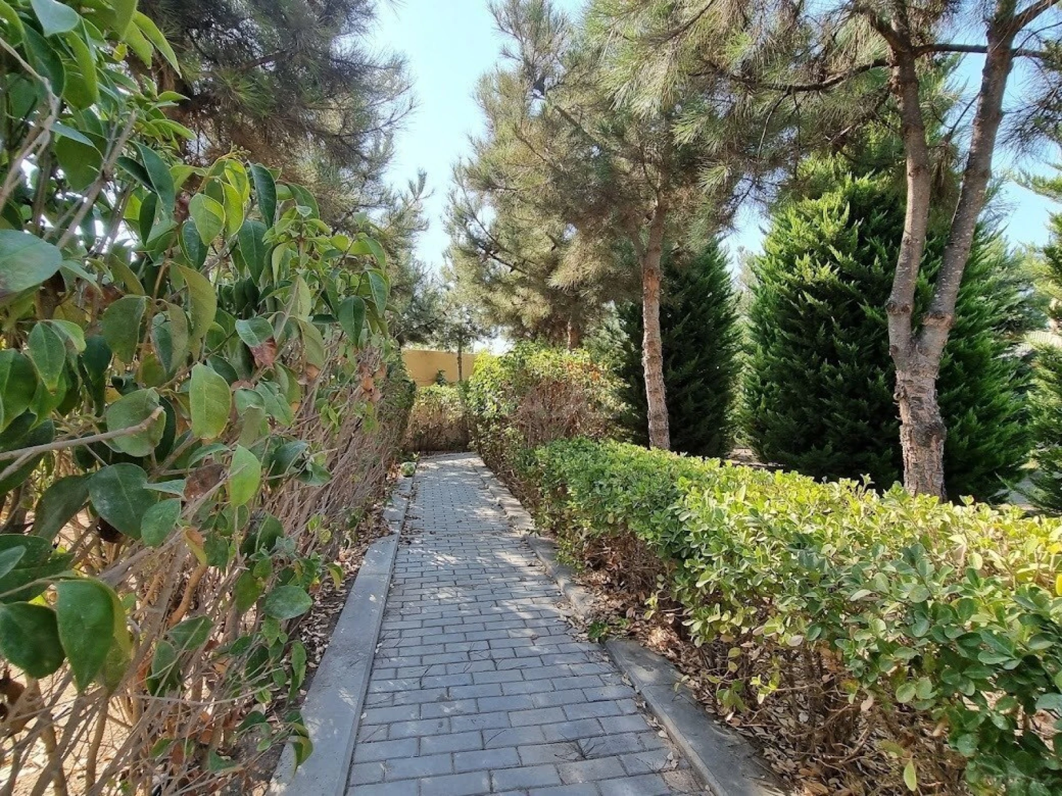 Satılır 8 otaqlı həyət evi 500 m²