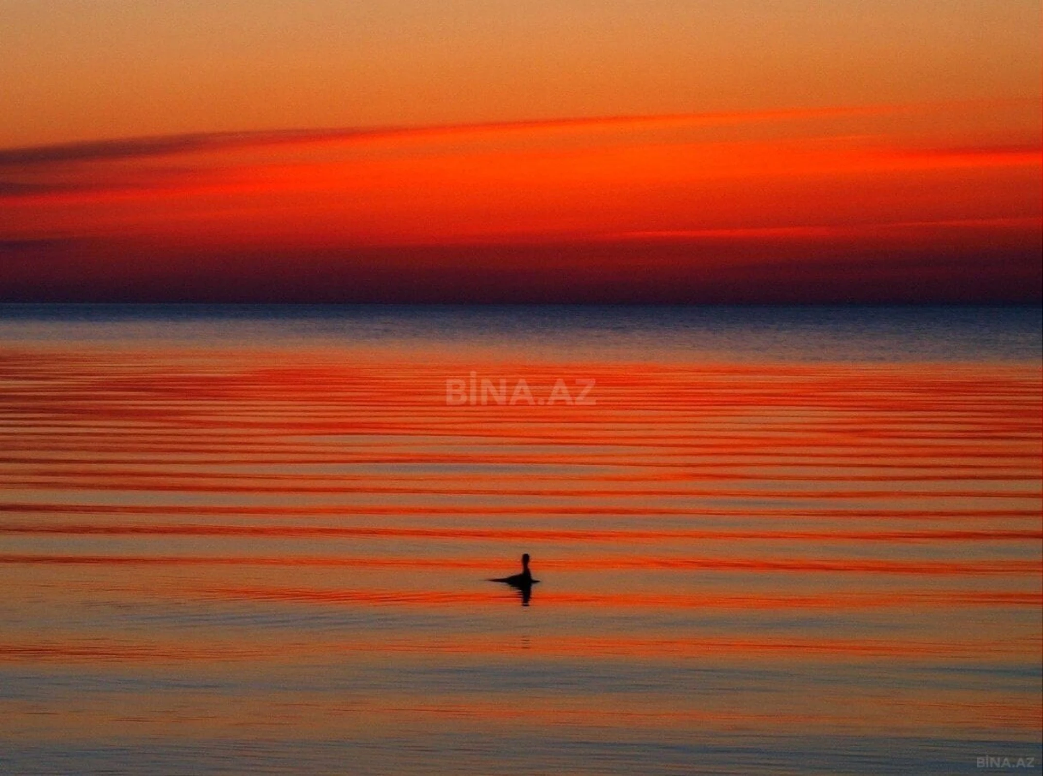 Satılır 8 otaqlı həyət evi 500 m²