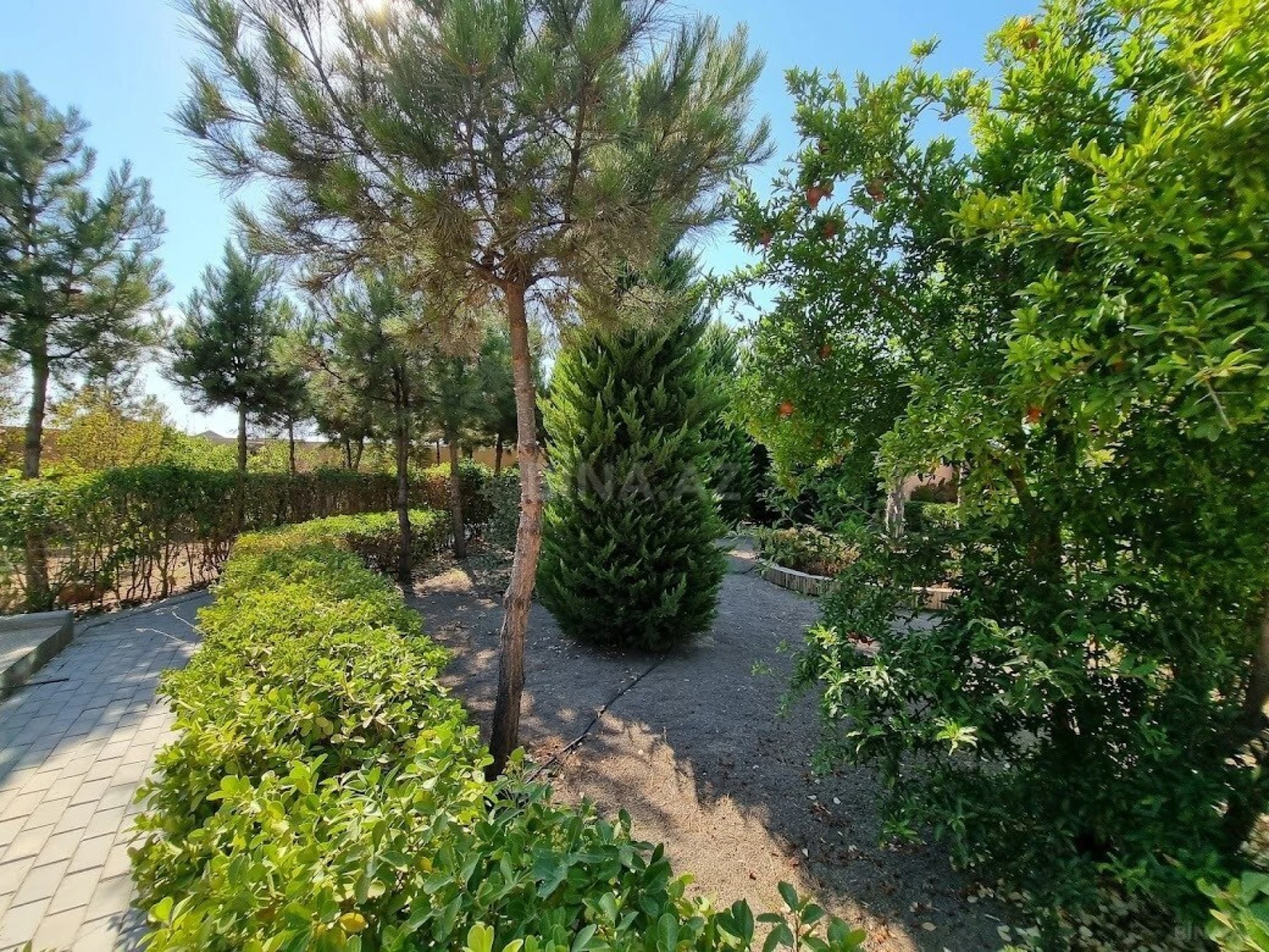 Satılır 8 otaqlı həyət evi 500 m²