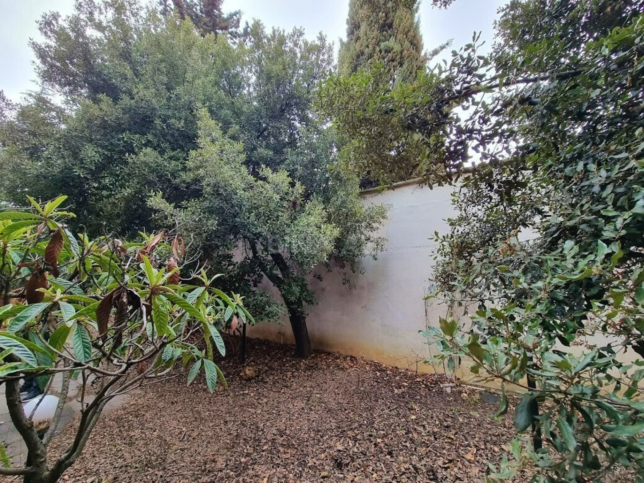 Satılır 7 otaqlı həyət evi 460 m²