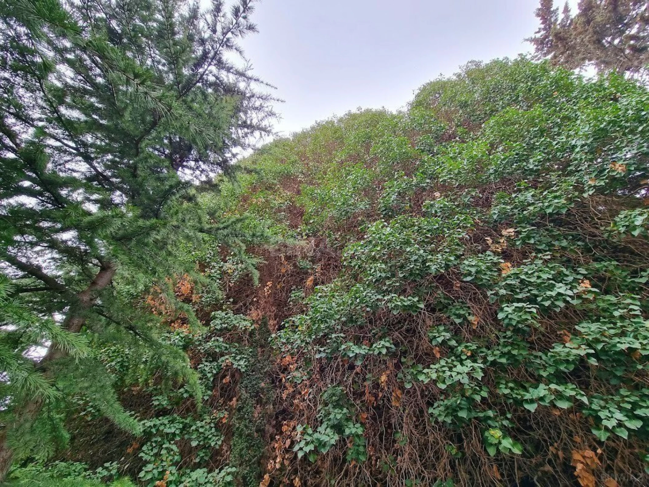 Satılır 7 otaqlı həyət evi 460 m²