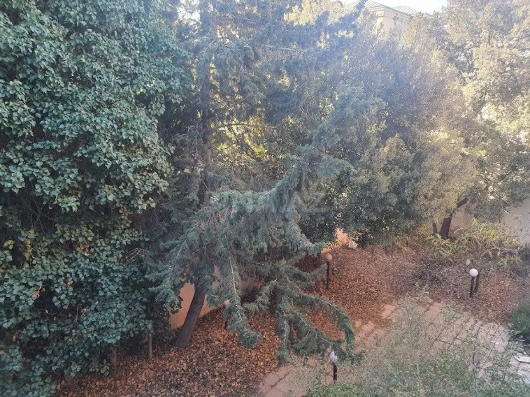 Satılır 7 otaqlı həyət evi 460 m²