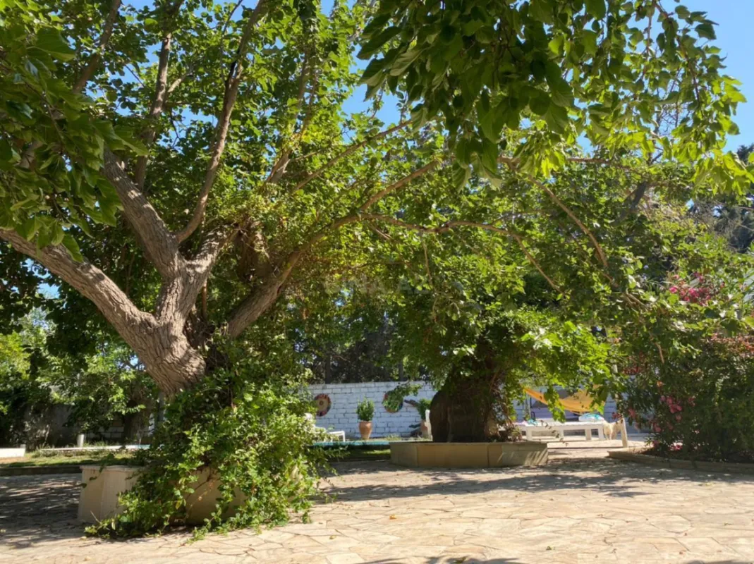 Kirayə verilir 5 otaqlı həyət evi 280 m²