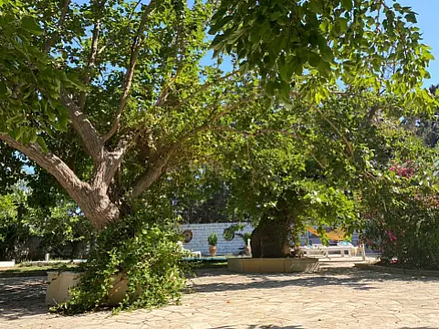 Kirayə verilir 5 otaqlı həyət evi 280 m²