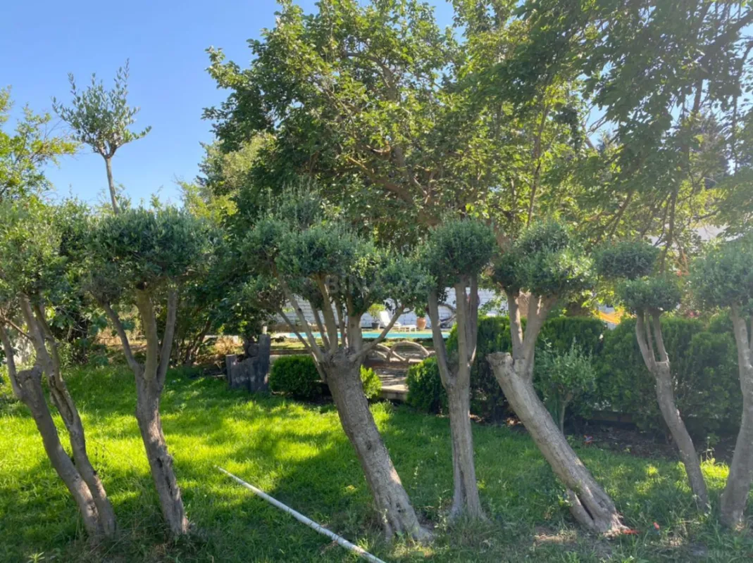 Kirayə verilir 5 otaqlı həyət evi 280 m²