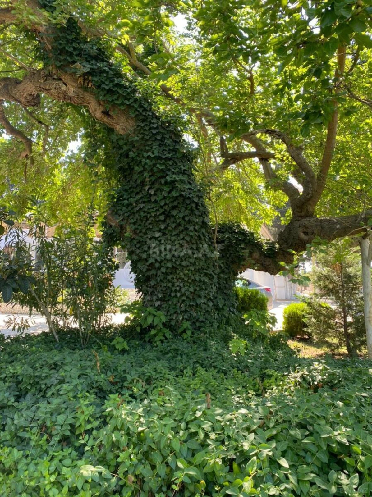 Kirayə verilir 5 otaqlı həyət evi 280 m²