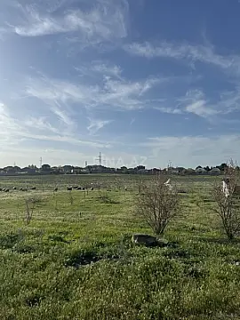 Satılır torpaq sahəsi 800 m²