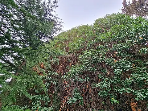 Satılır torpaq sahəsi 5 m²