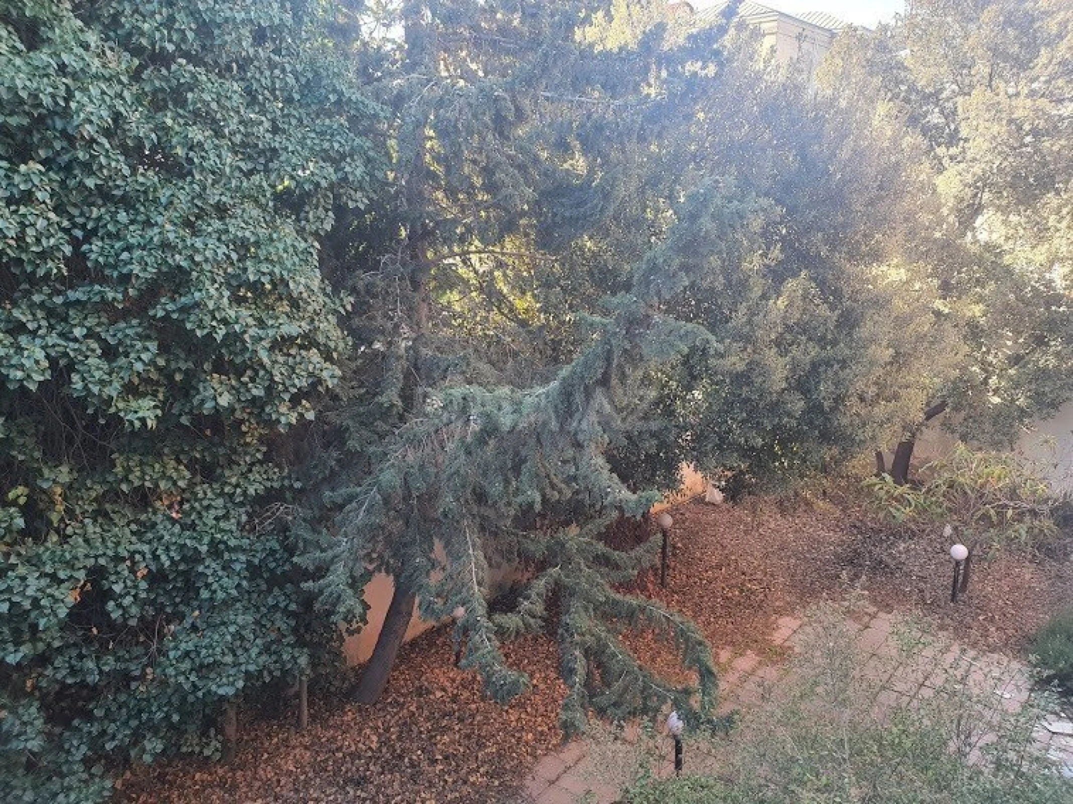 Satılır torpaq sahəsi 5 m²