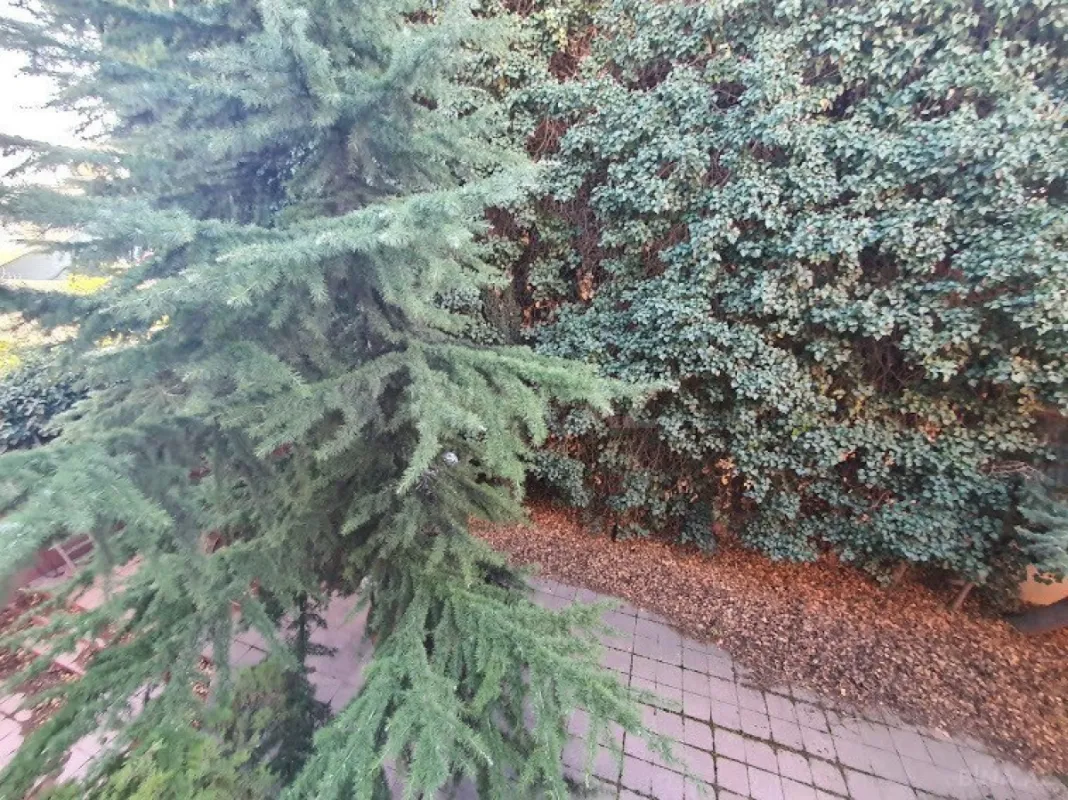 Satılır torpaq sahəsi 5 m²