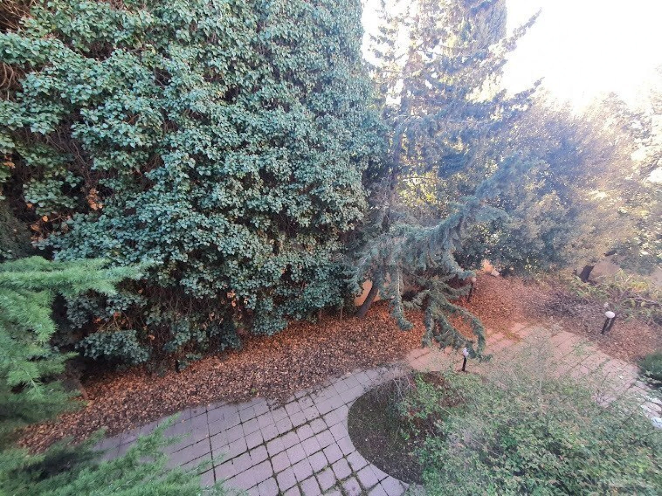 Satılır torpaq sahəsi 5 m²