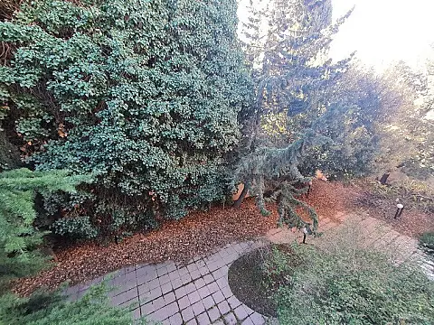 Satılır torpaq sahəsi 5 m²