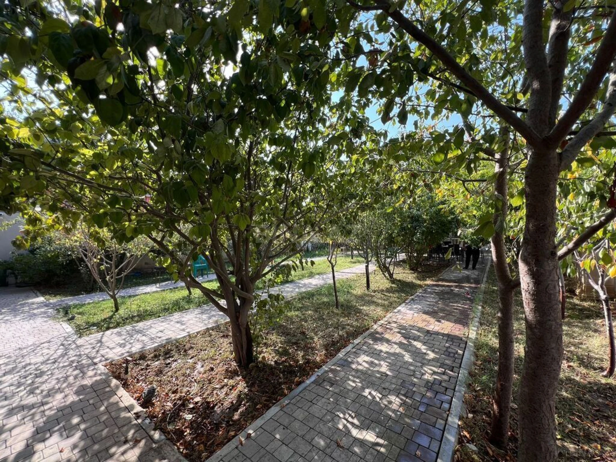 Satılır 8 otaqlı həyət evi 500 m²