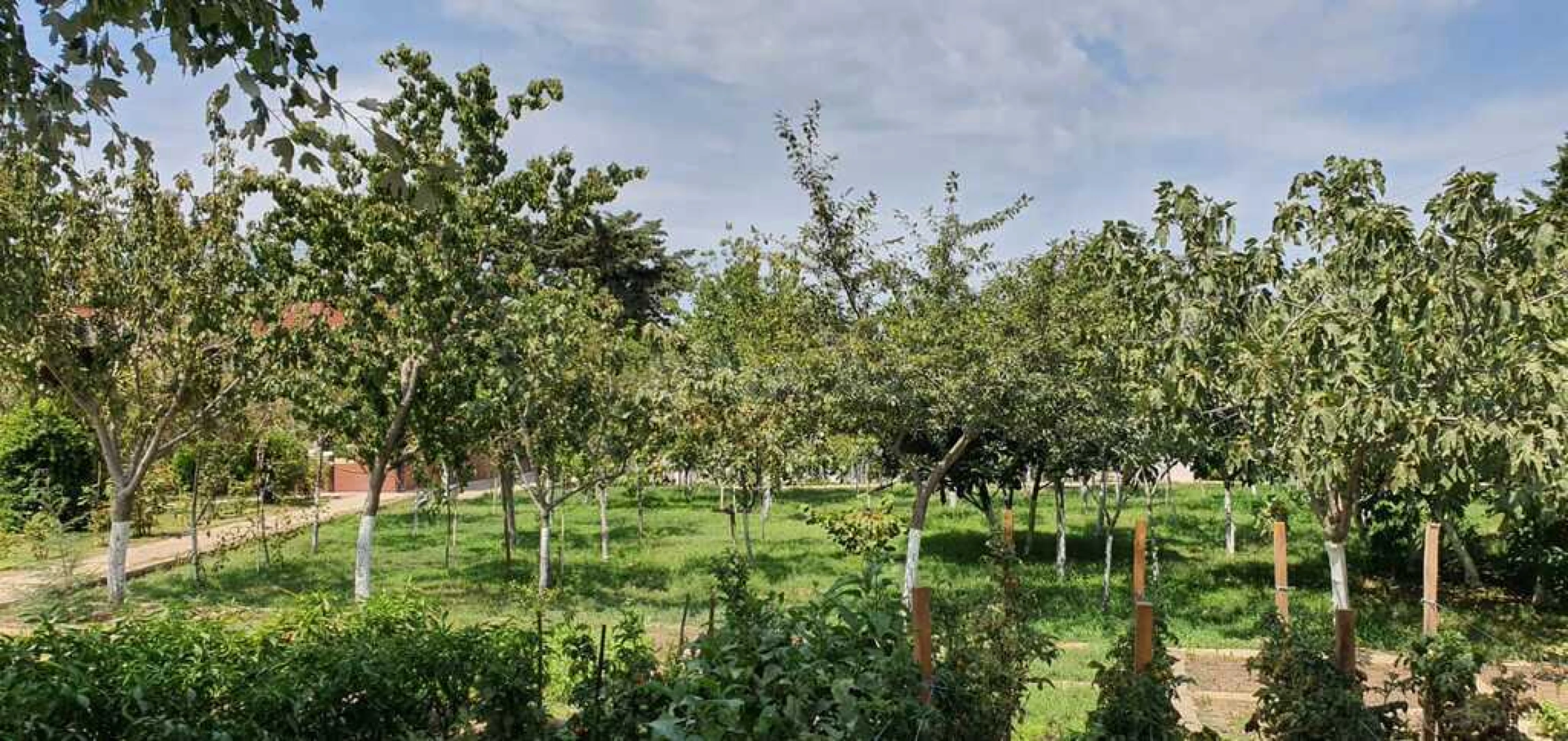 Satılır 10 otaqlı həyət evi 700 m²