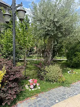 Kirayə verilir həyət evi 500 m²