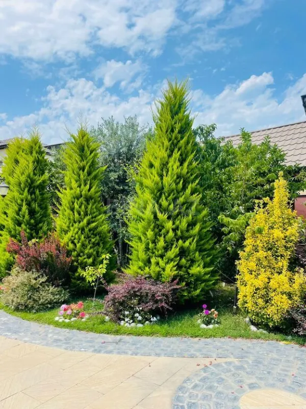 Kirayə verilir həyət evi 500 m²