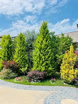 Kirayə verilir həyət evi 500 m²