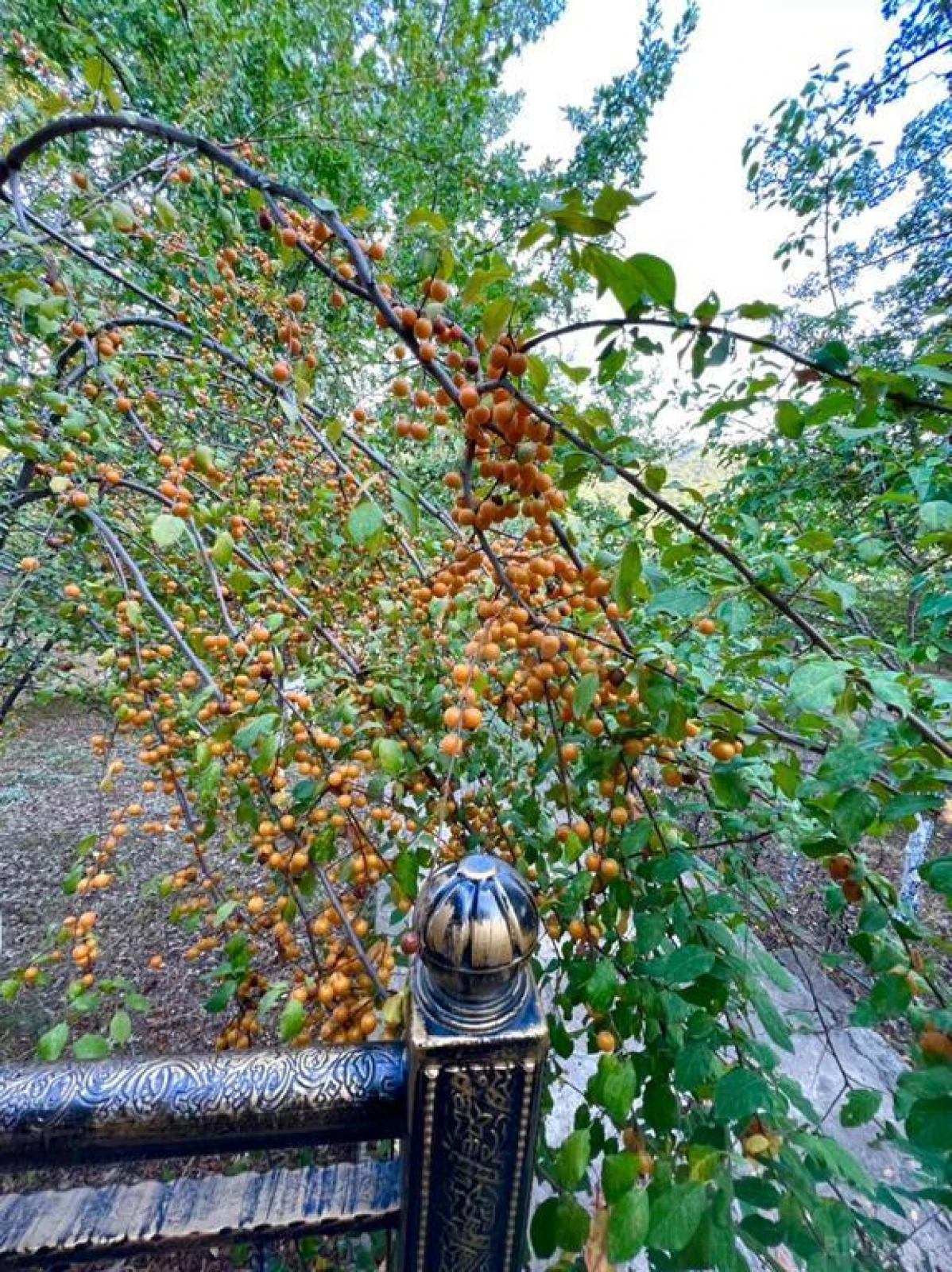 Satılır 4 otaqlı həyət evi 300 m²