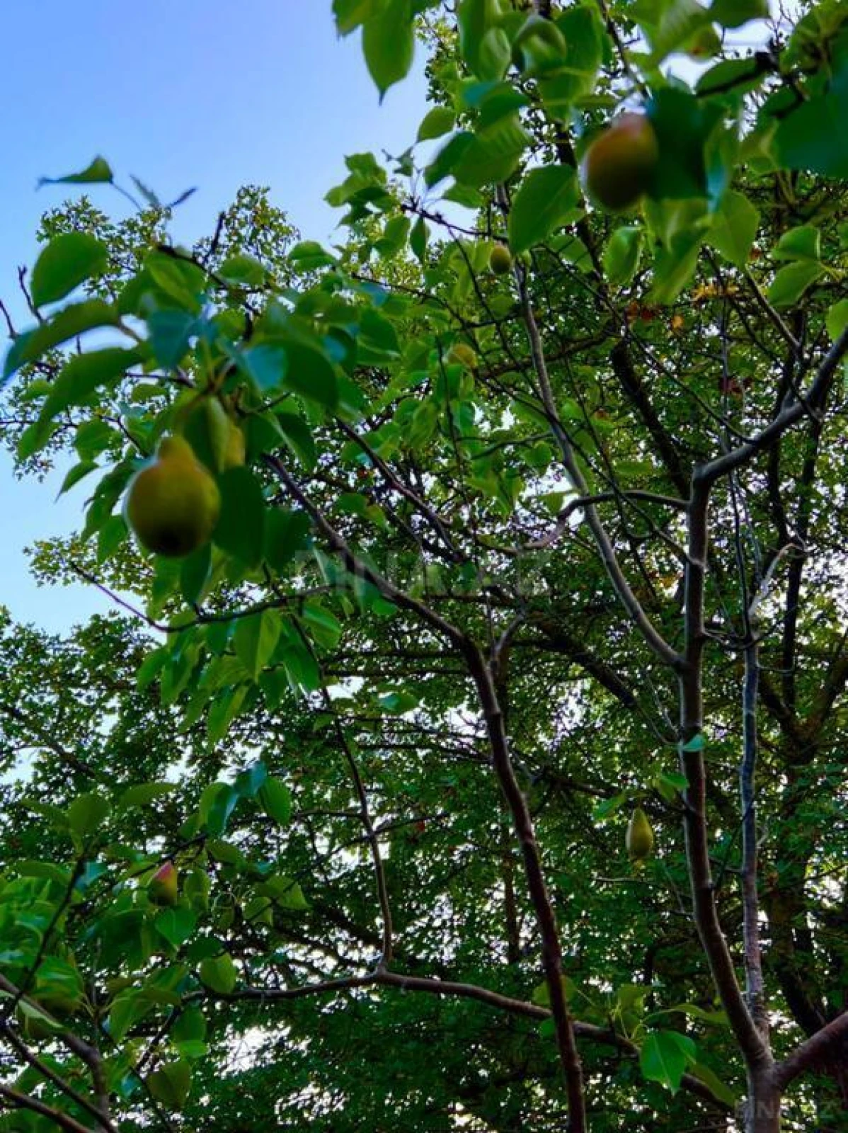 Satılır 4 otaqlı həyət evi 300 m²