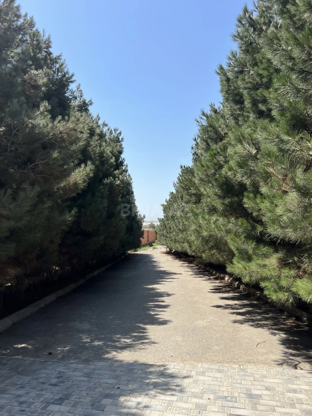 Satılır obyekt 9000 m²