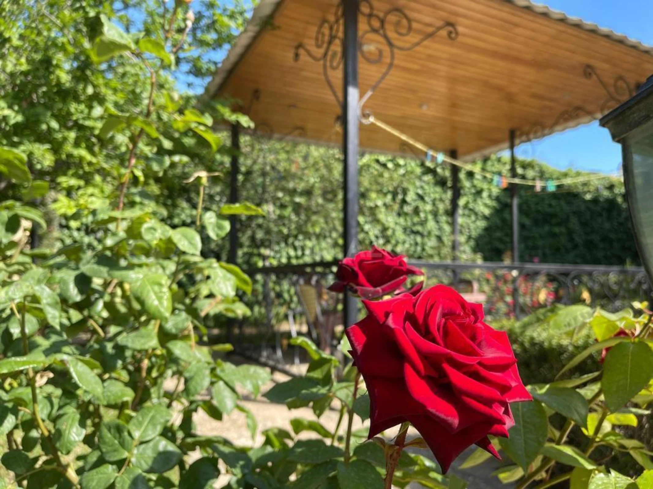 Kirayə verilir həyət evi 400 m²