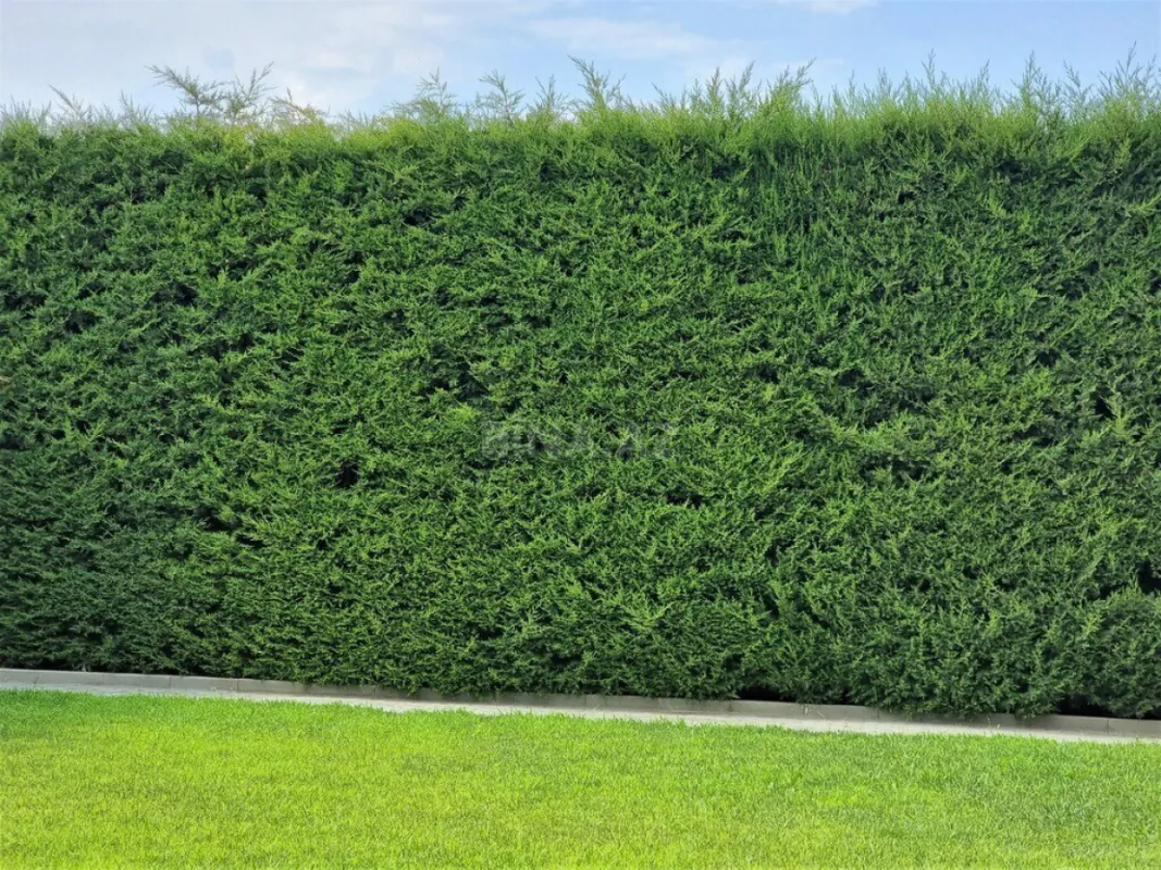 Satılır 5 otaqlı həyət evi 312 m²