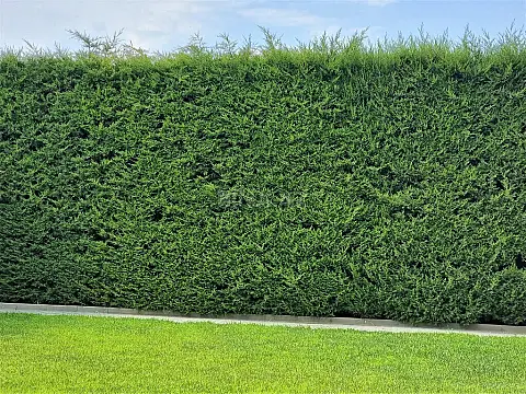 Satılır 5 otaqlı həyət evi 312 m²