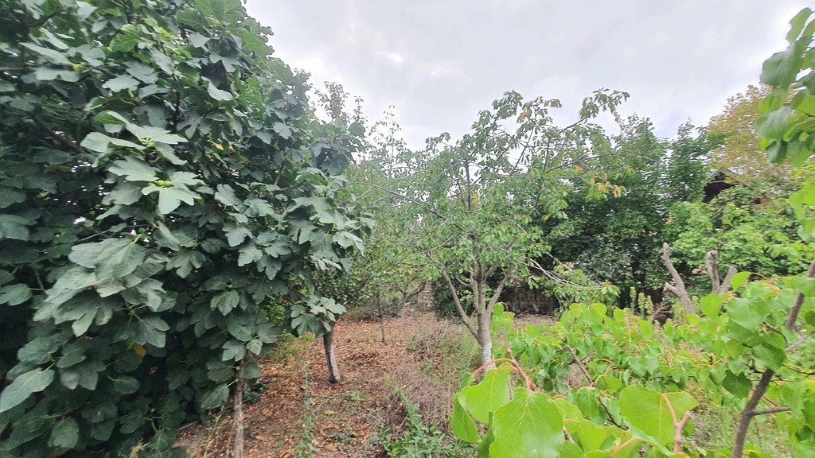 Satılır torpaq sahəsi 22 m²