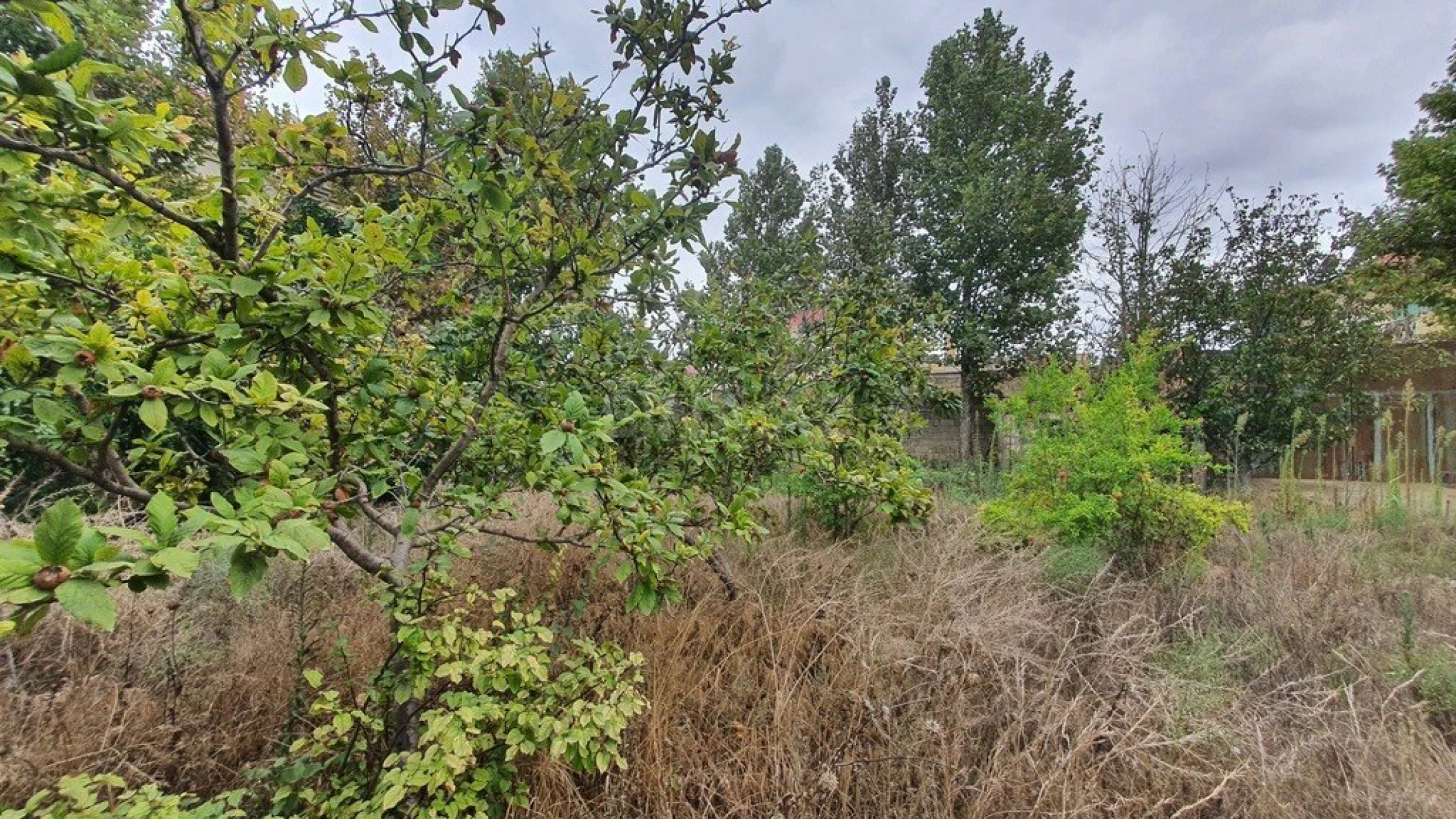 Satılır torpaq sahəsi 22 m²