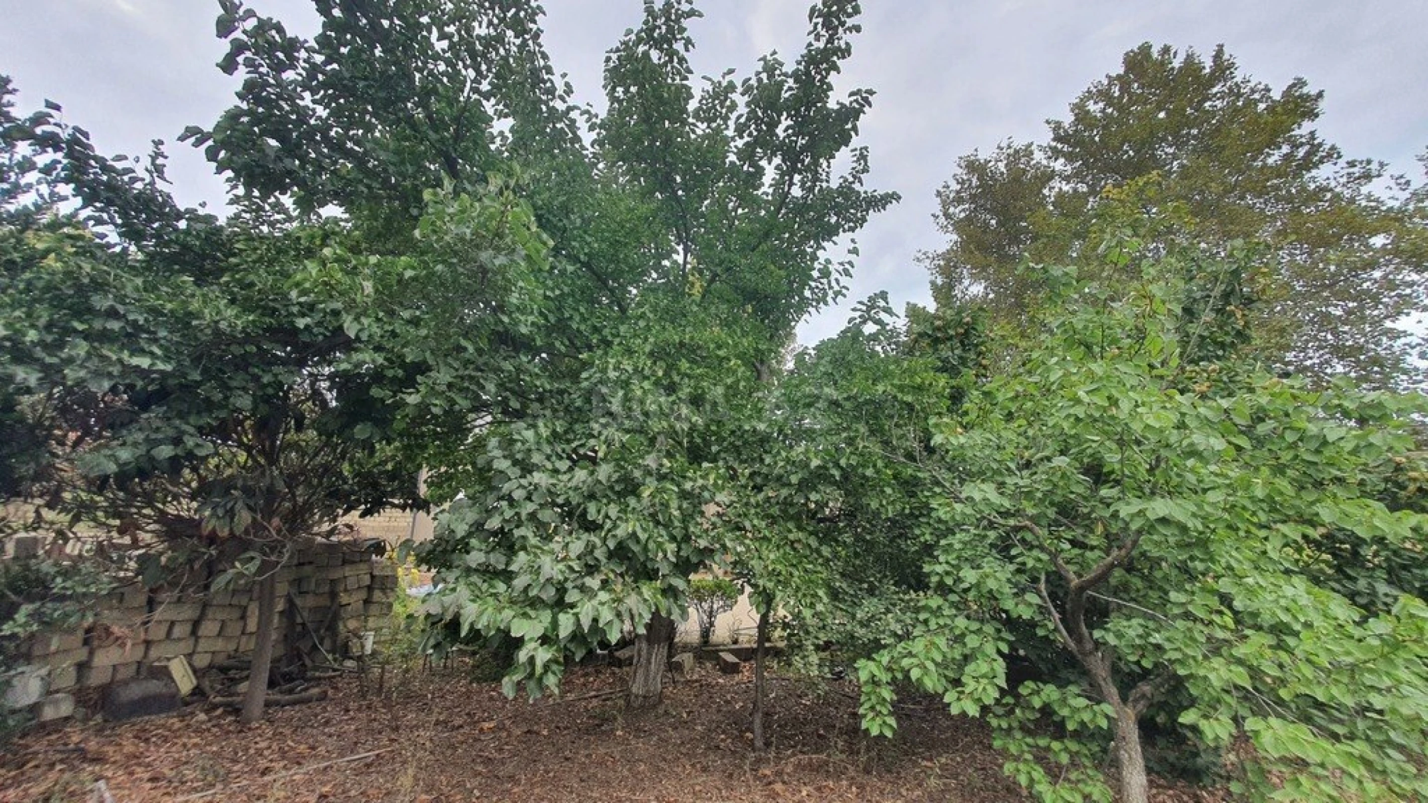 Satılır torpaq sahəsi 22 m²