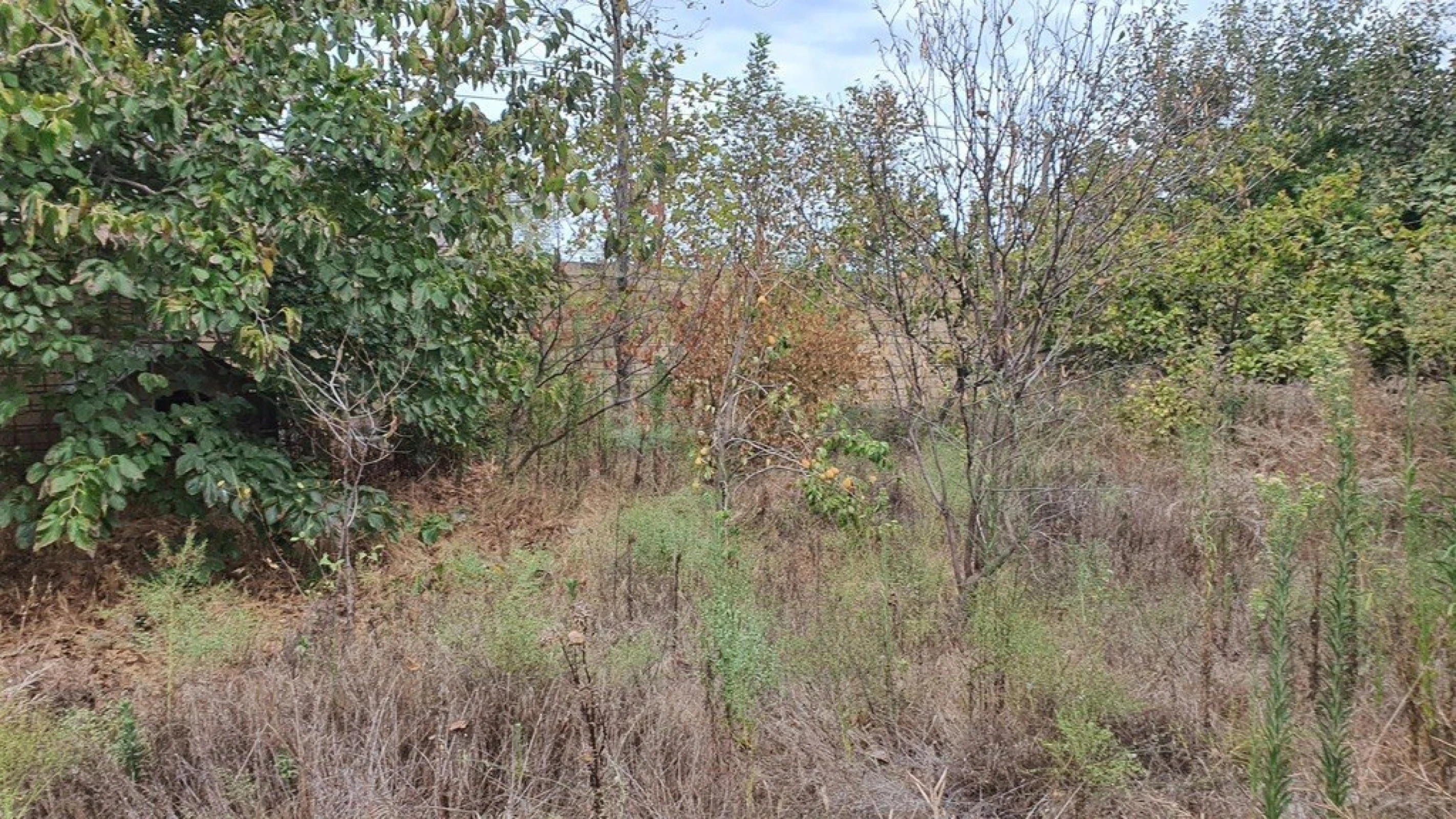 Satılır torpaq sahəsi 12 m²