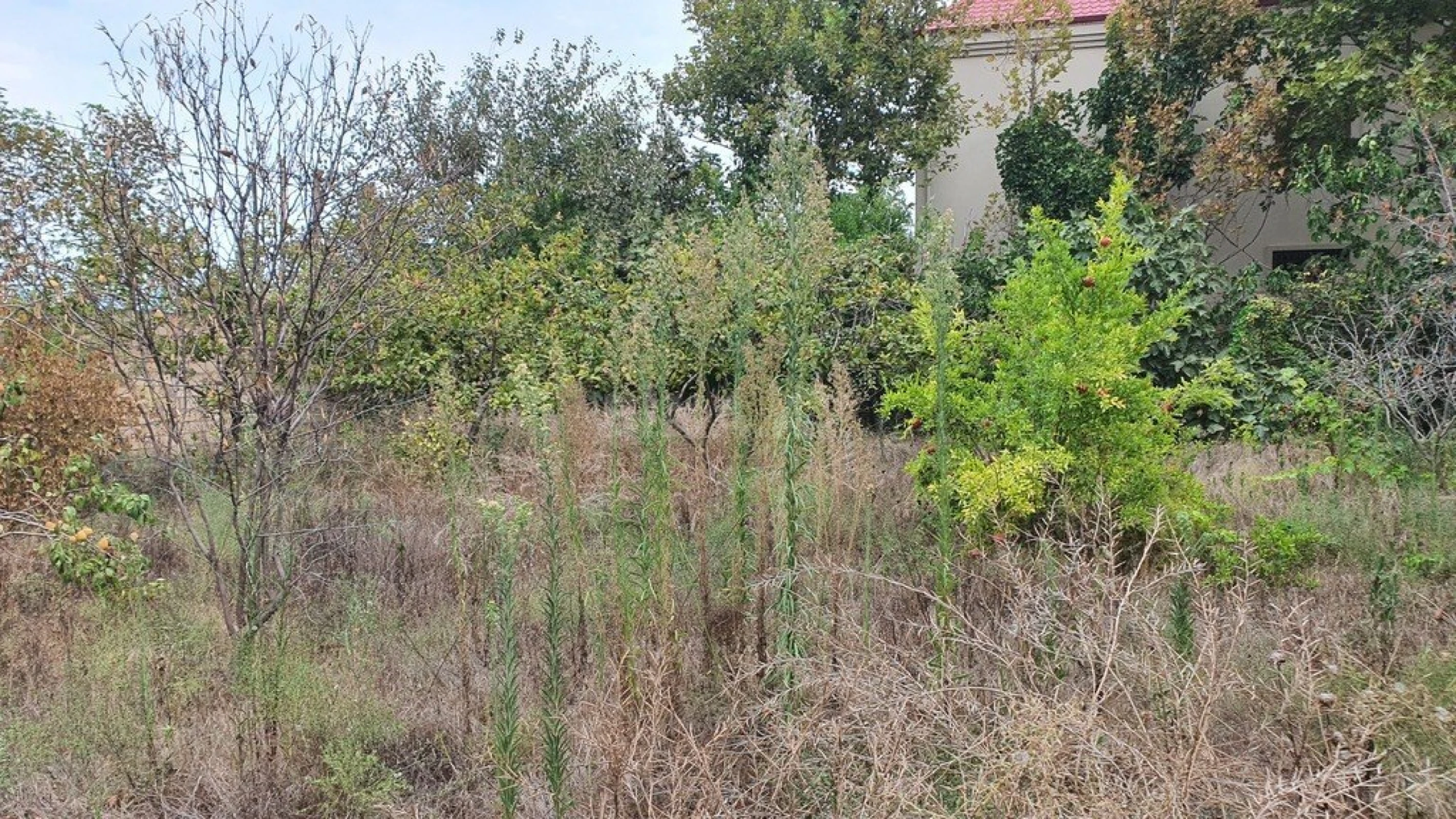 Satılır torpaq sahəsi 12 m²