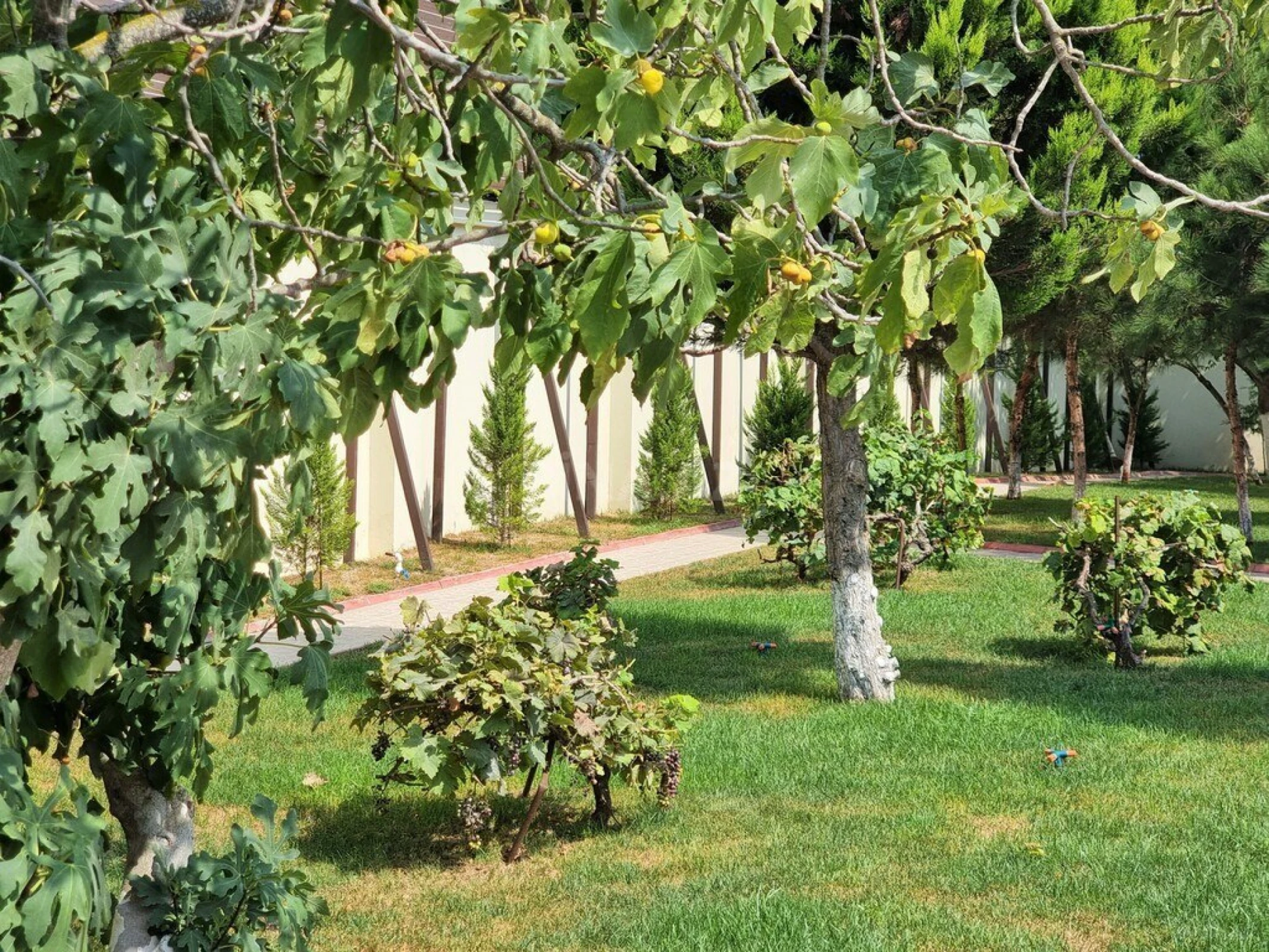 Satılır 8 otaqlı həyət evi 700 m²