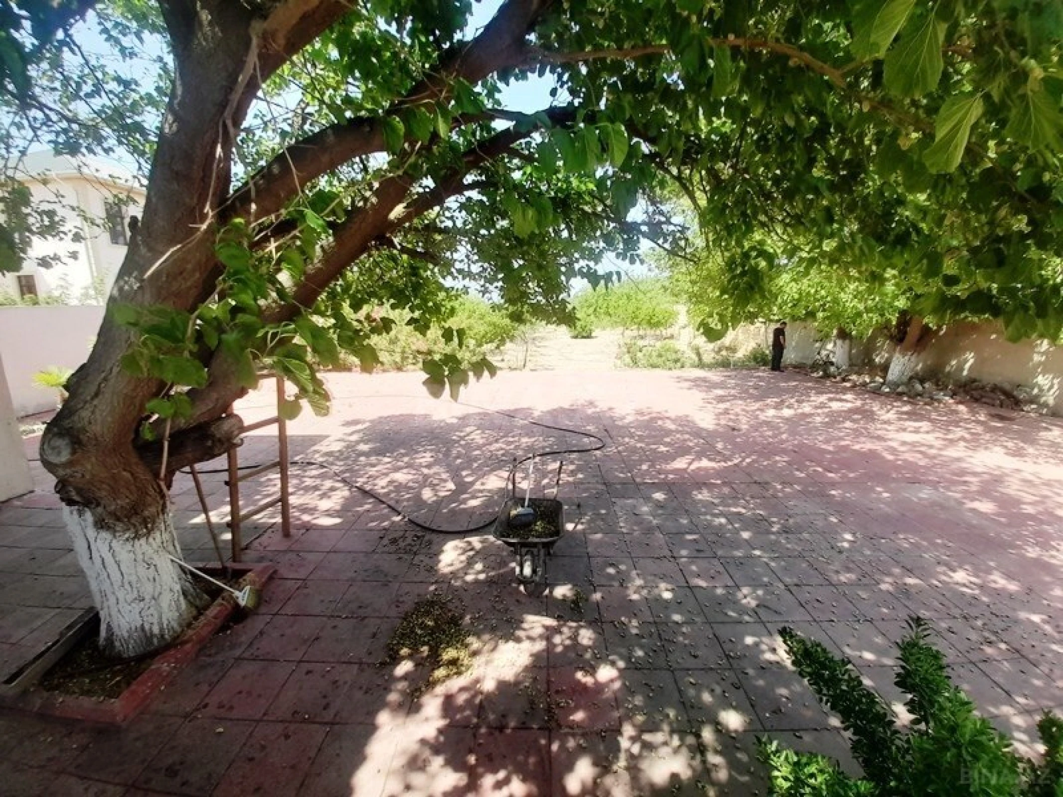 Satılır həyət evi 100 m²