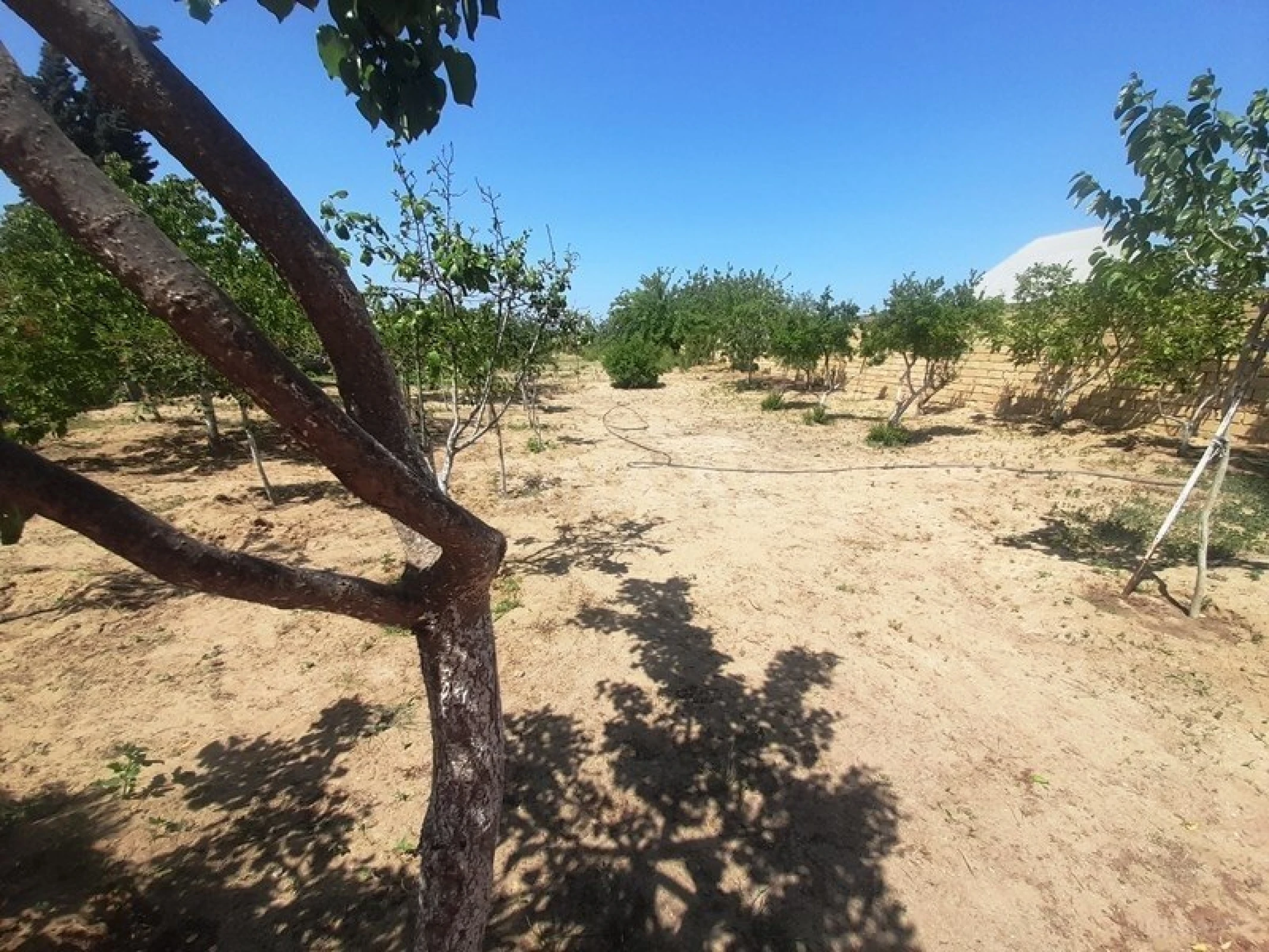 Satılır həyət evi 100 m²