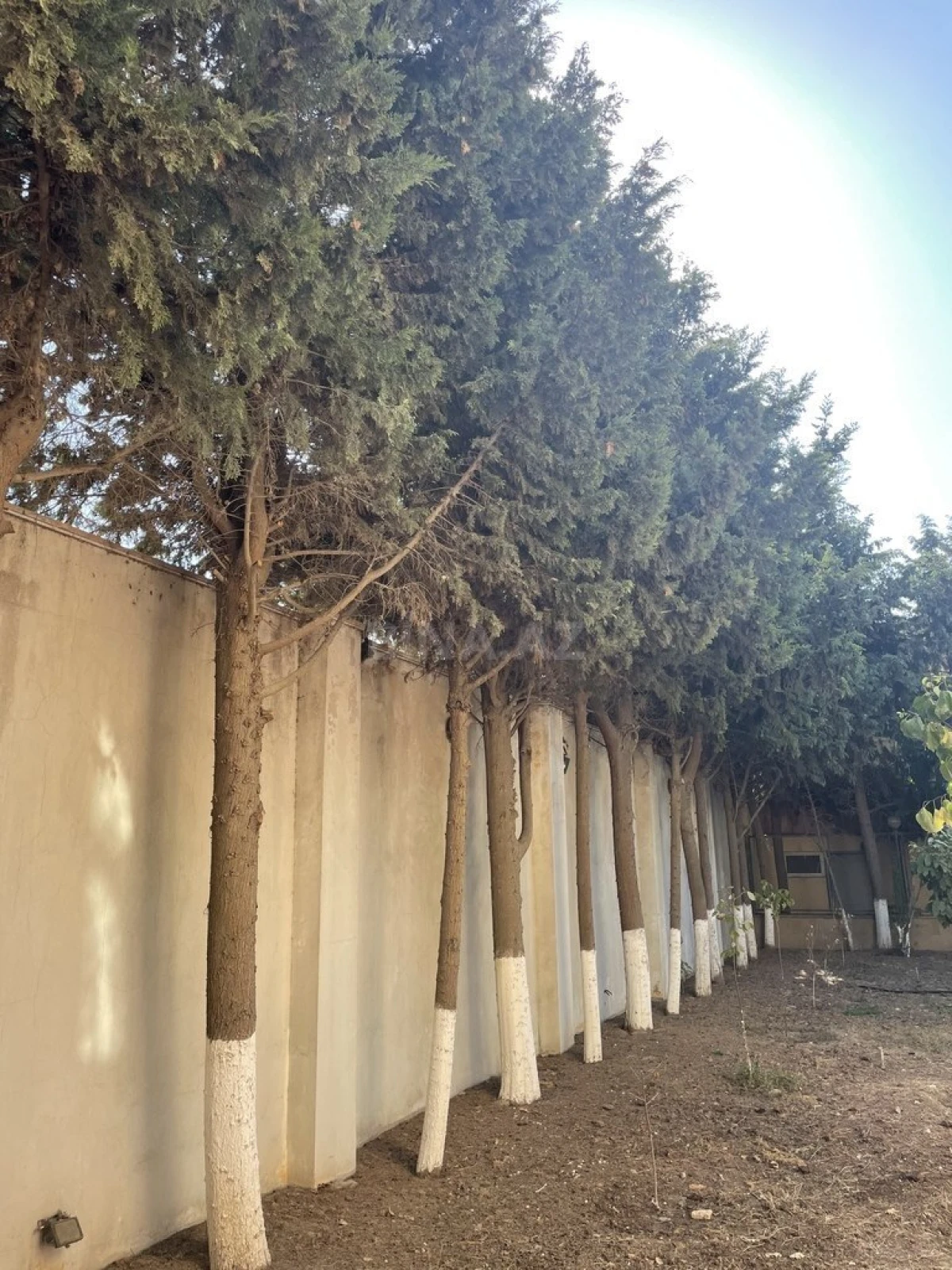 Satılır 20 otaqlı həyət evi 600 m²