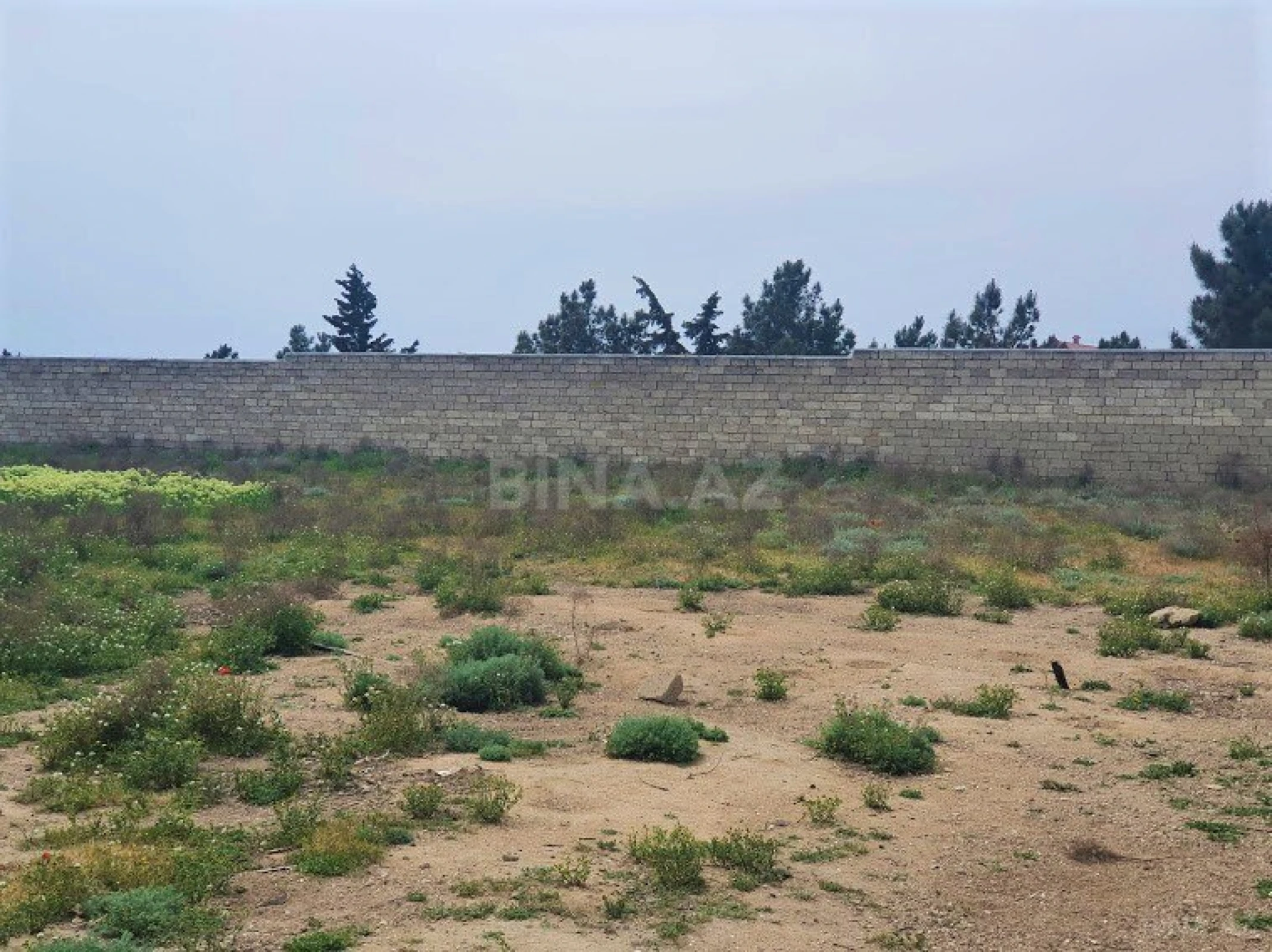 Satılır torpaq sahəsi 100 m²