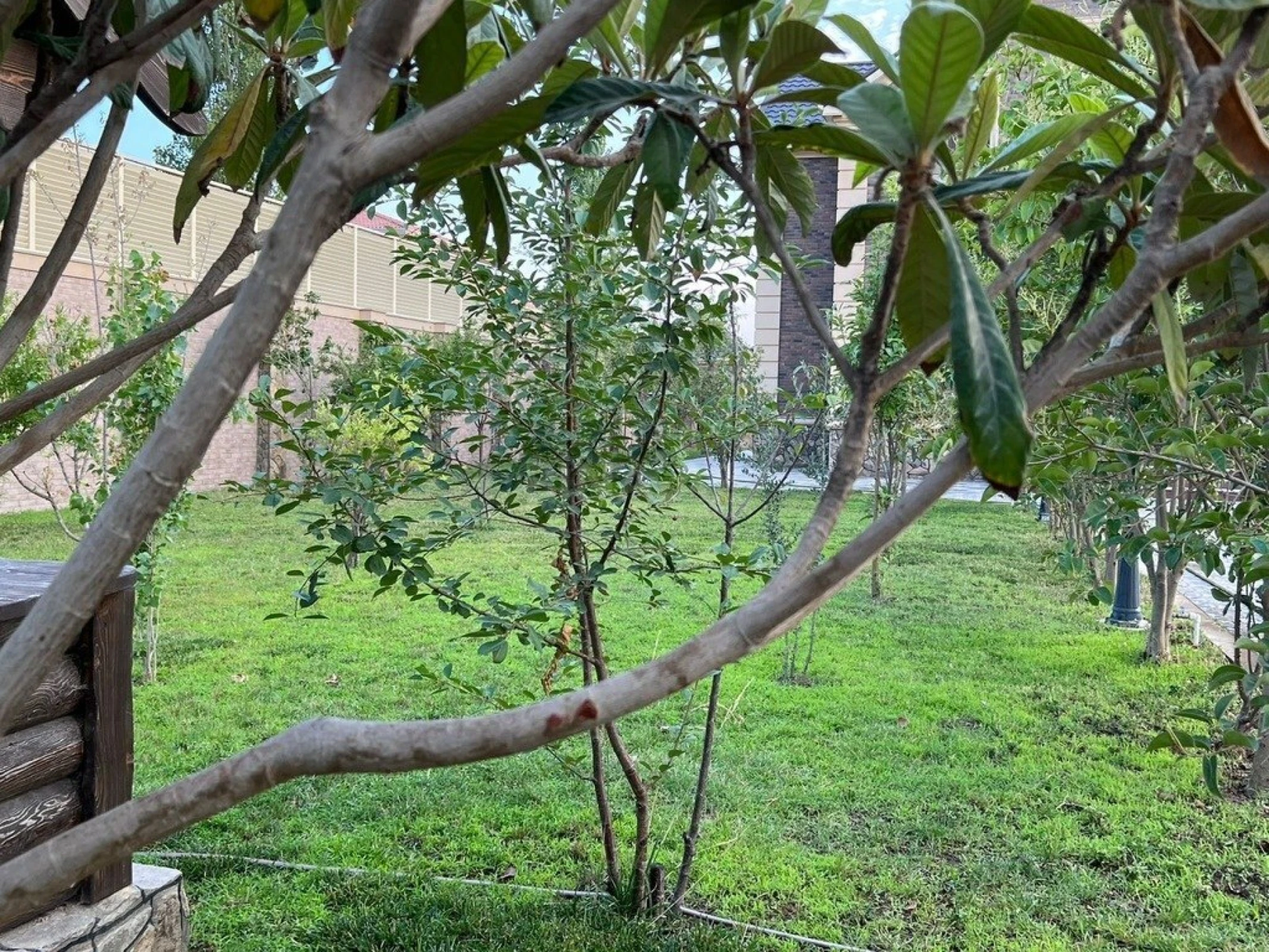 Kirayə verilir 5 otaqlı həyət evi 350 m²