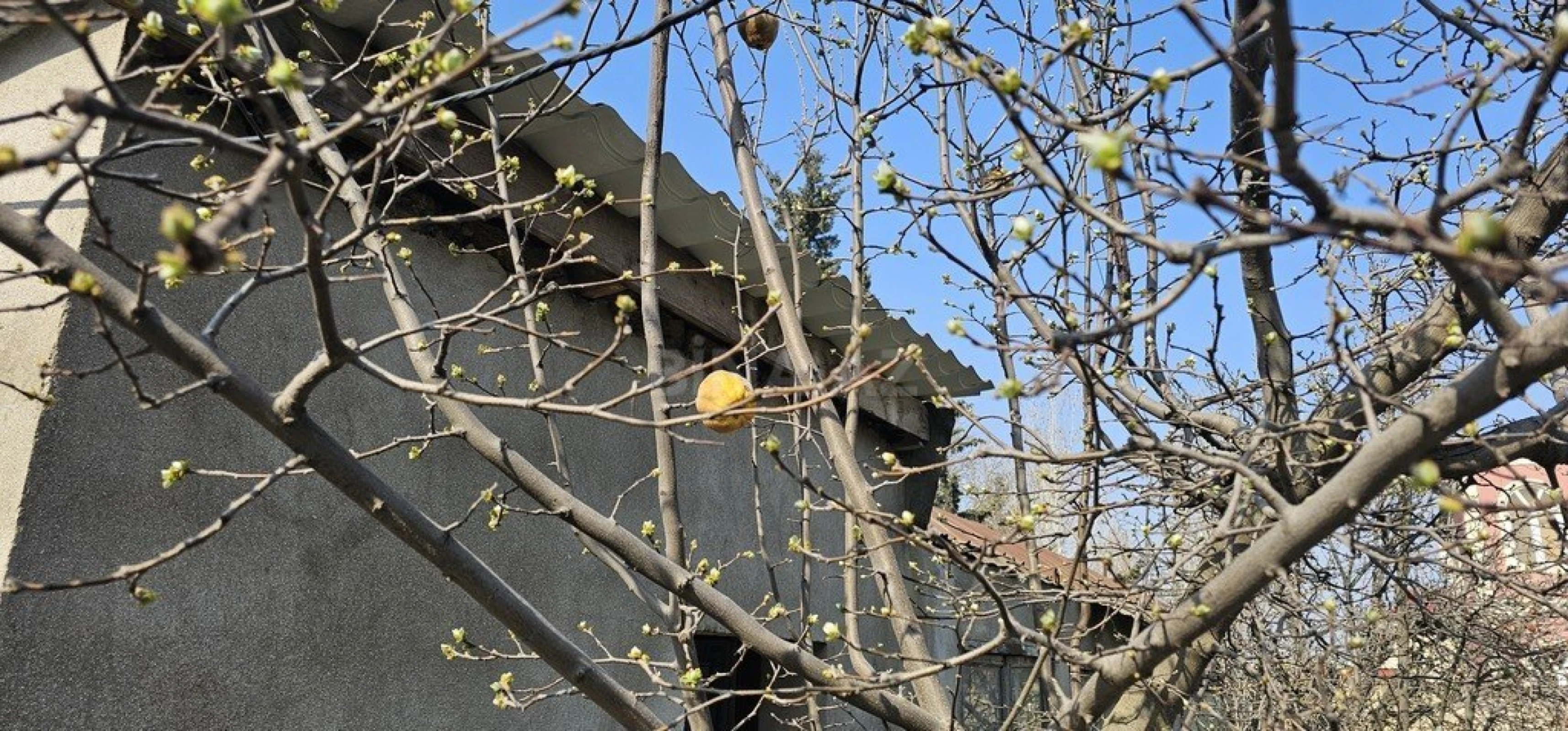 Satılır torpaq sahəsi 7 m²