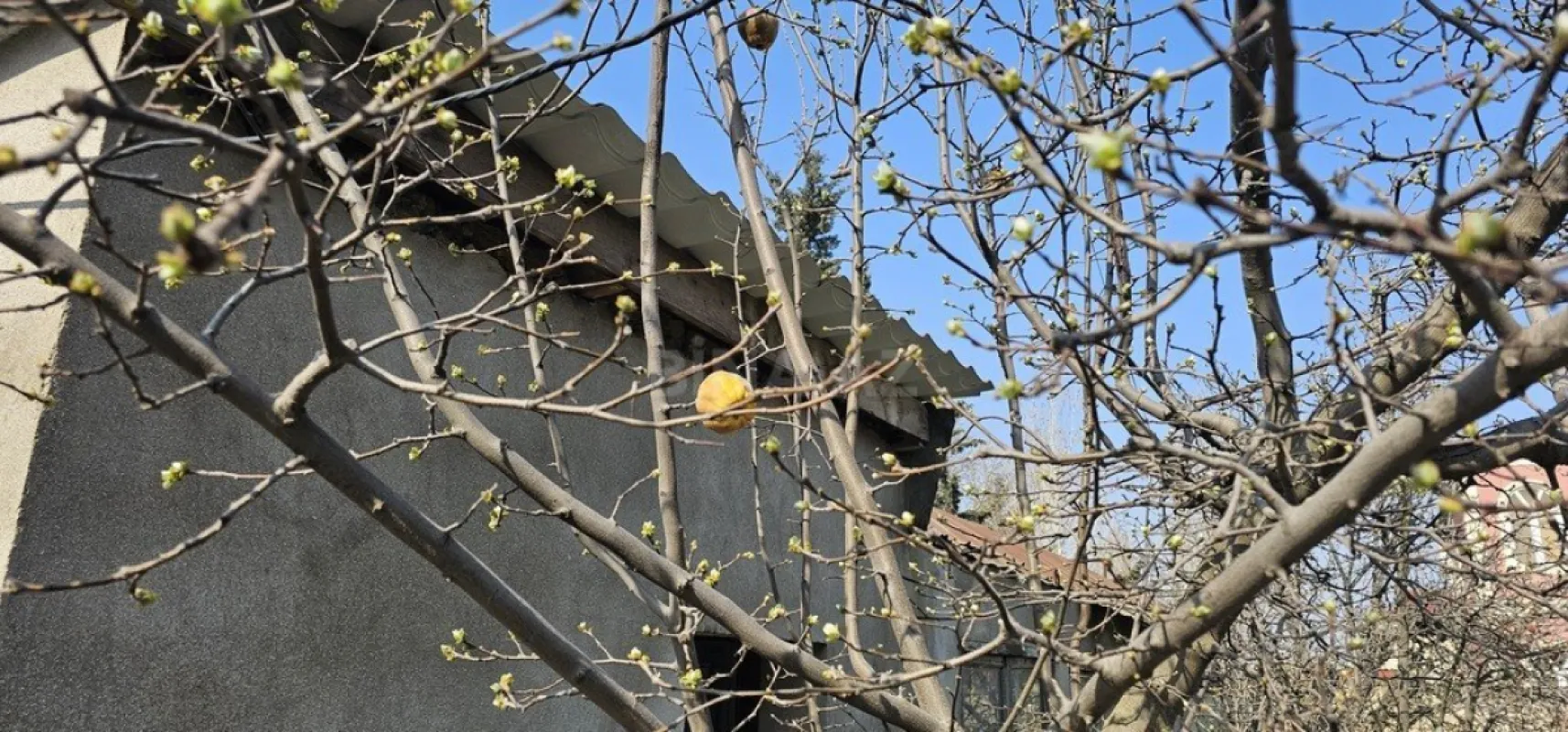 Satılır torpaq sahəsi 7 m²