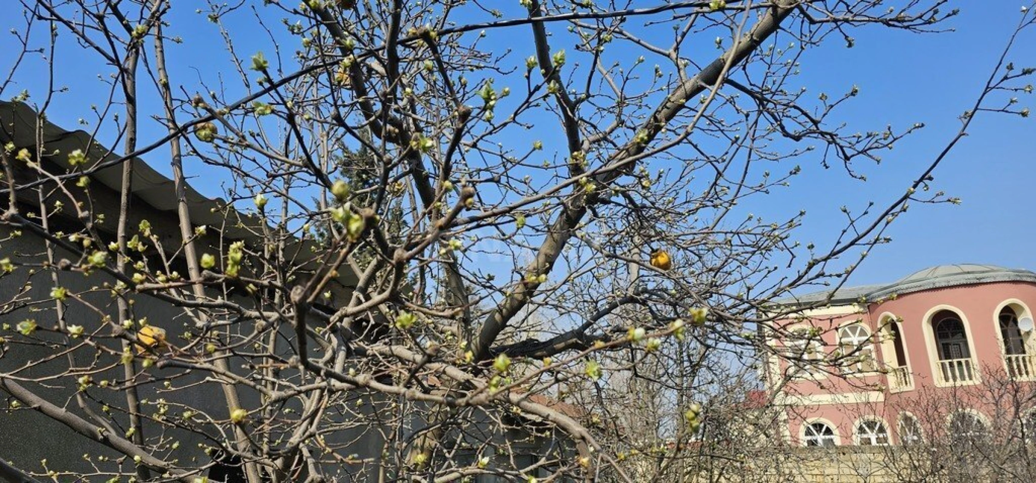 Satılır torpaq sahəsi 7 m²